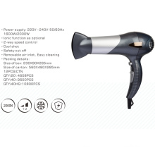 Dual Voltage 2000W Hair Dryer for Salon Professional